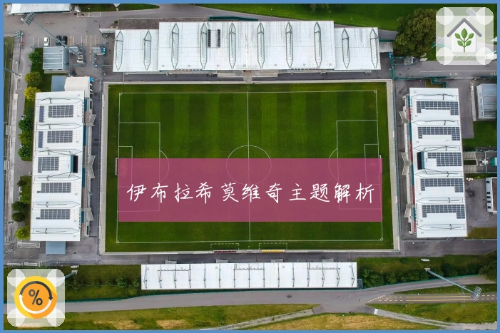 伊布拉希莫维奇主题解析